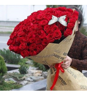 Beautiful ROSE