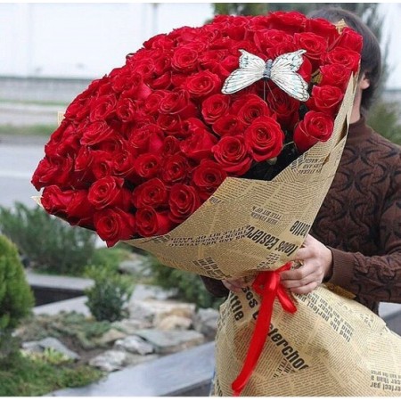 Beautiful ROSE