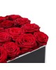 15 Red Roses in Box